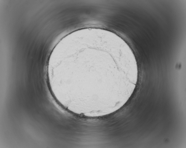 X0000113961383200911061316