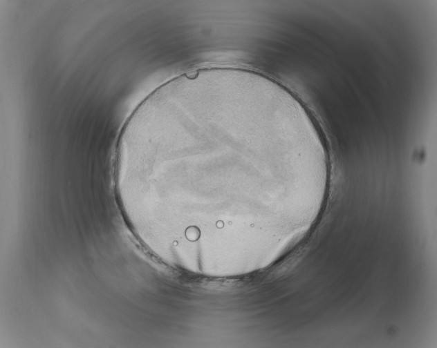 X0000113961386200911061316