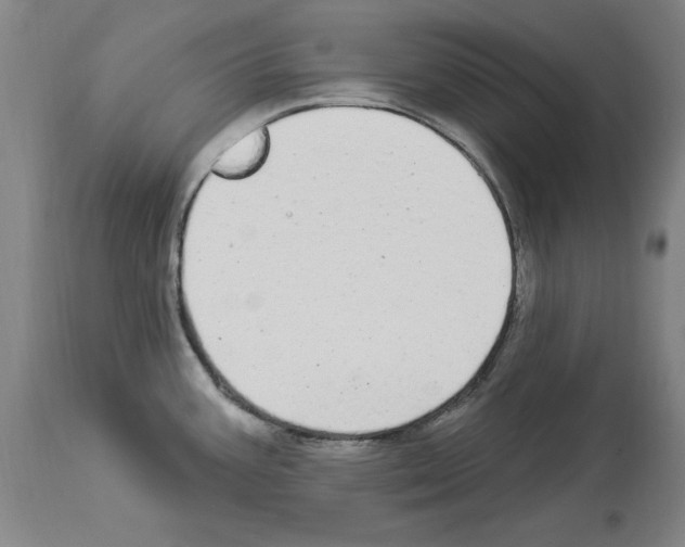 X0000113961387200911061316