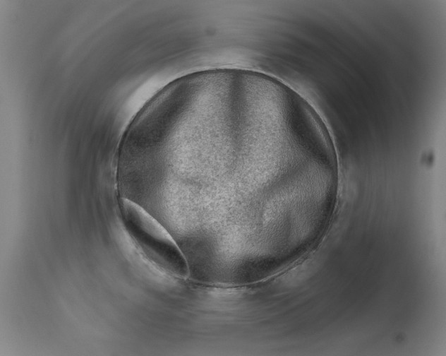 X0000113961389200911061316