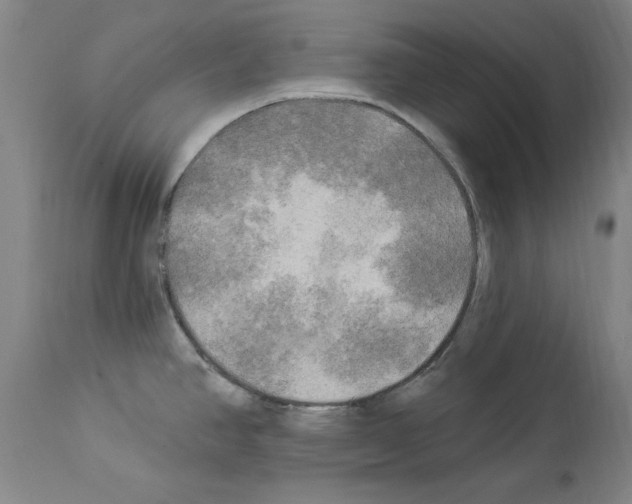 X0000113961390200911061316