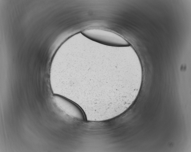 X0000113961392200911061316