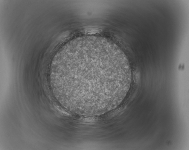X0000113961393200911061315