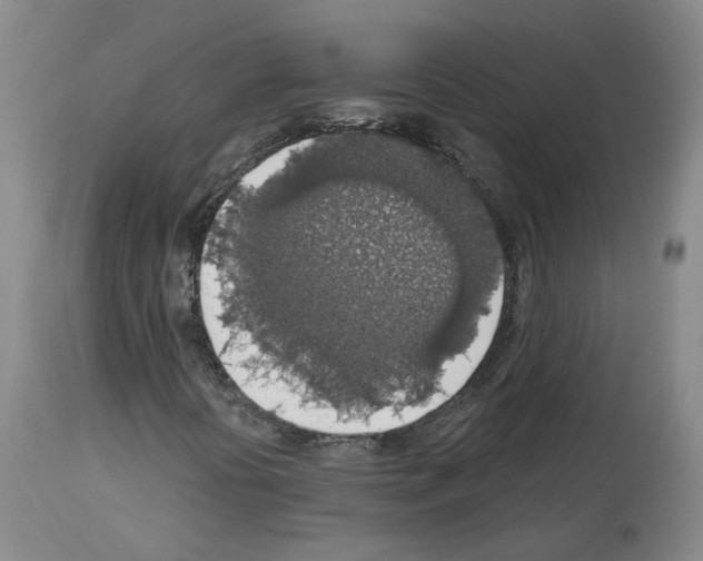 X0000113961394200911061315