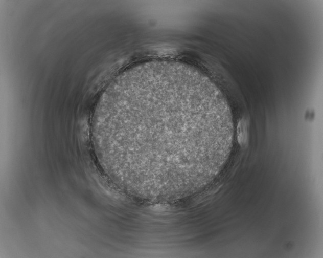 X0000113961395200911061315
