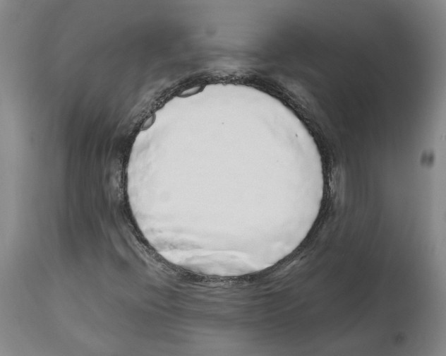 X0000113961396200911061315