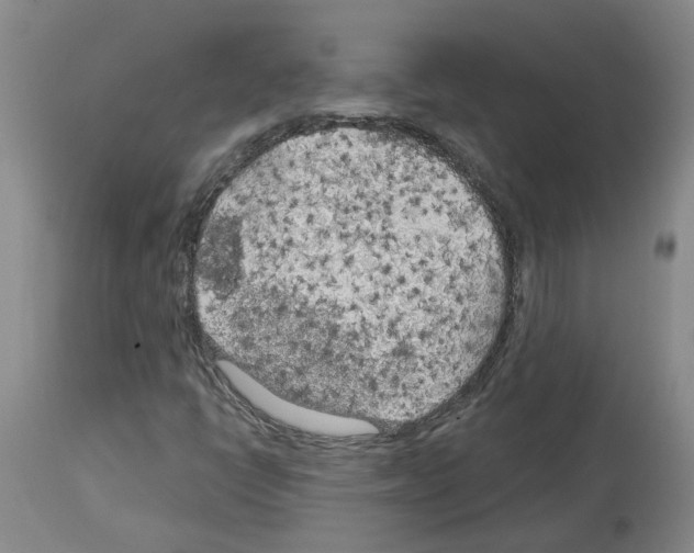 X0000113961398200911061315