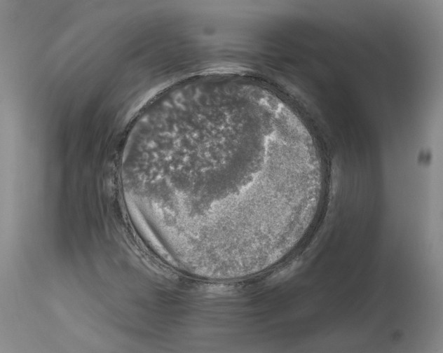 X0000113961401200911061315