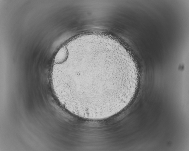X0000113961402200911061315