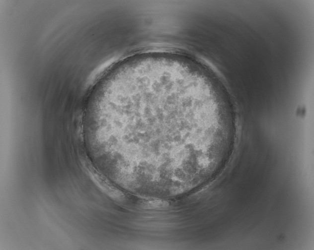 X0000113961403200911061315
