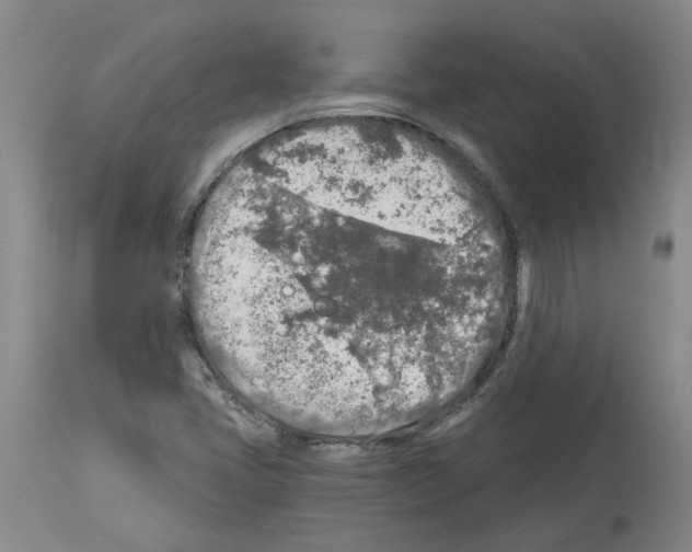 X0000113961405200911061315