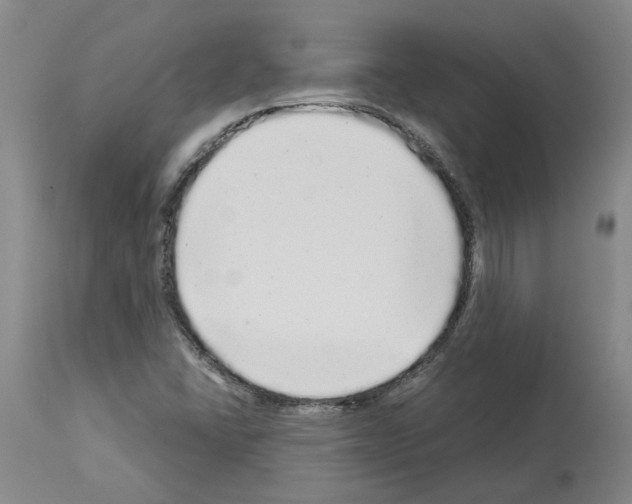 X0000113961406200911061315