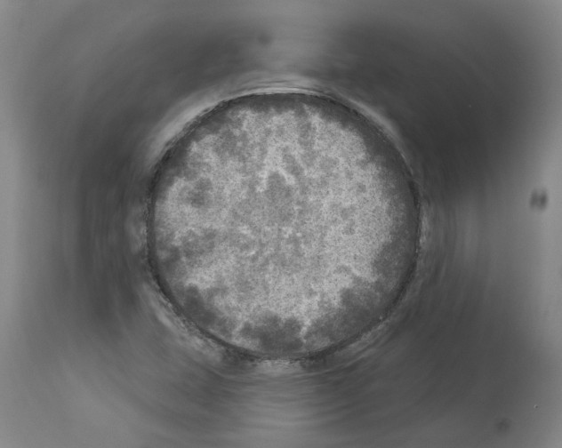 X0000113961407200911061315