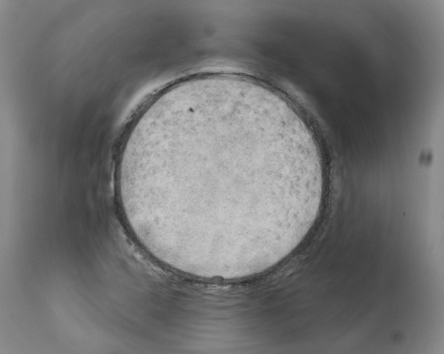 X0000113961408200911061315