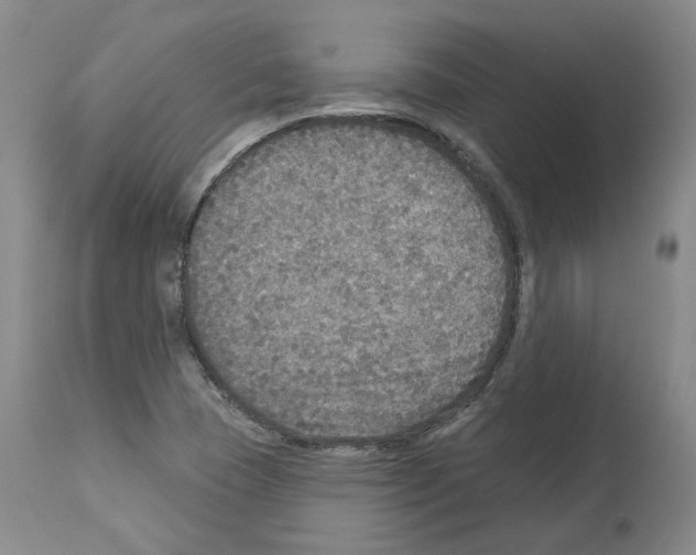 X0000113961409200911061315