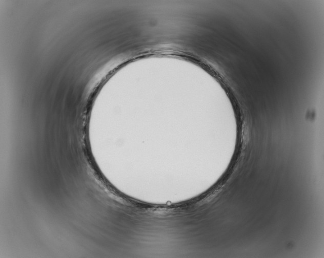 X0000113961410200911061315