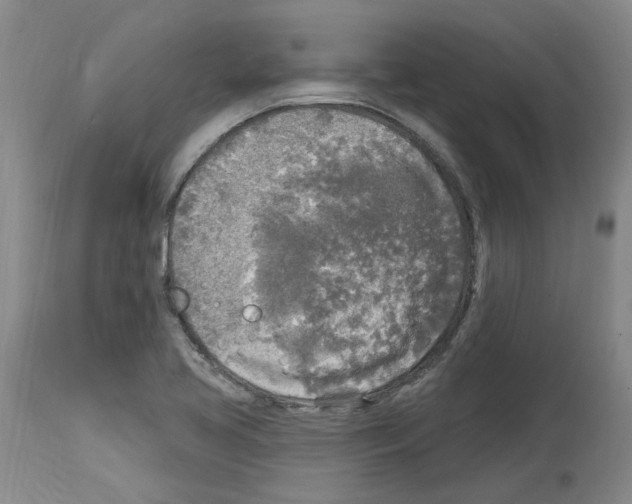 X0000113961413200911061315