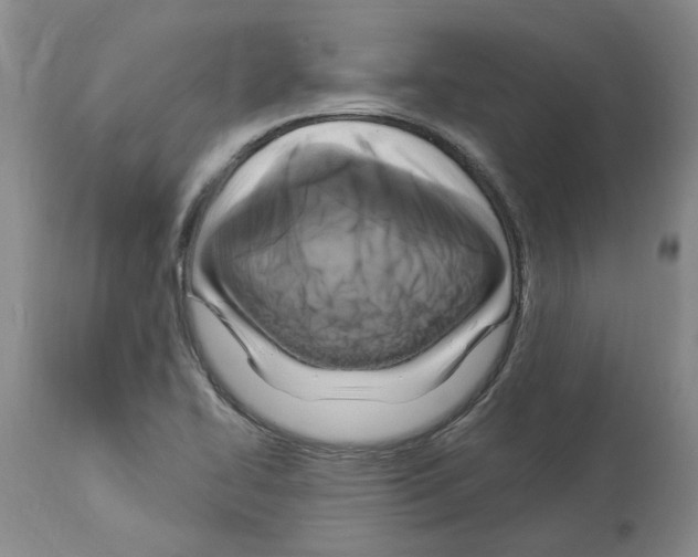 X0000113961414200911061315