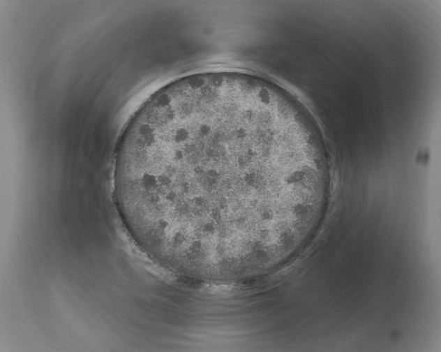 X0000113961415200911061315
