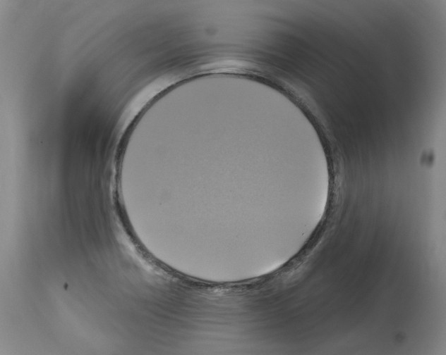X0000113961418200911061316