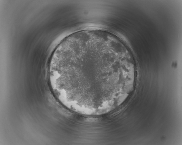 X0000113961419200911061316