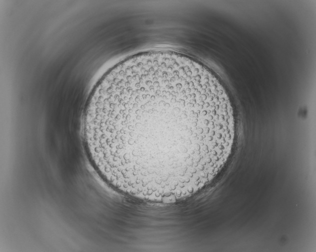 X0000113961420200911061316