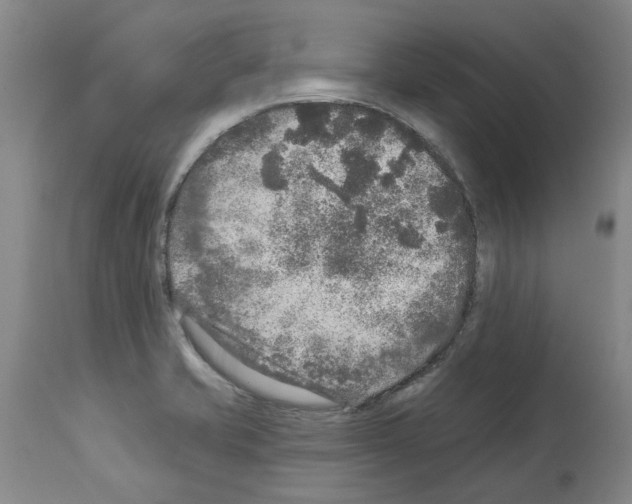 X0000113961421200911061316