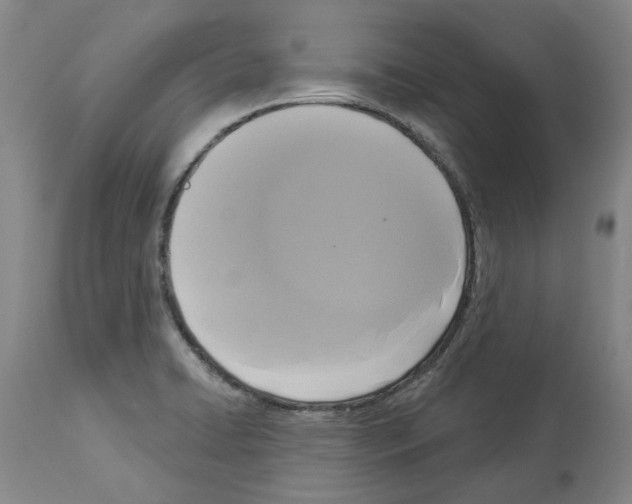X0000113961422200911061316