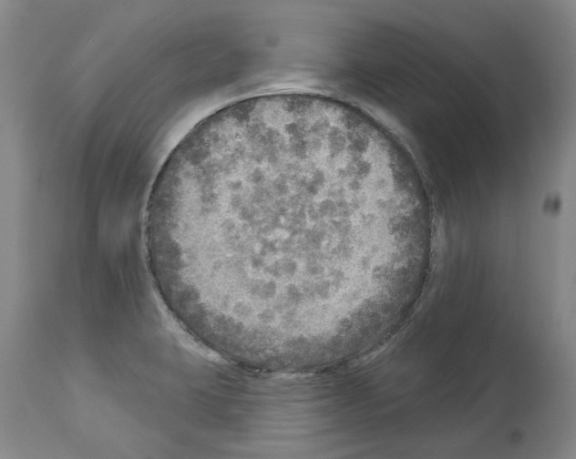 X0000113961423200911061316