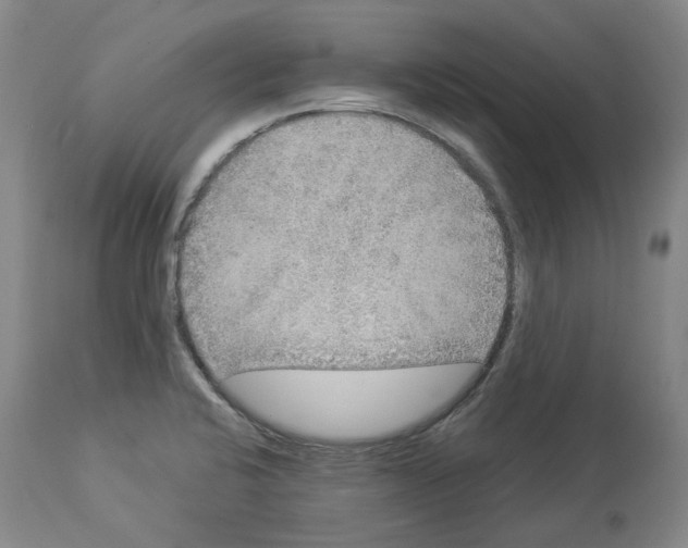 X0000113961424200911061316