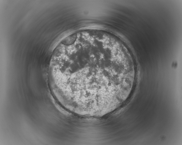X0000113961425200911061316