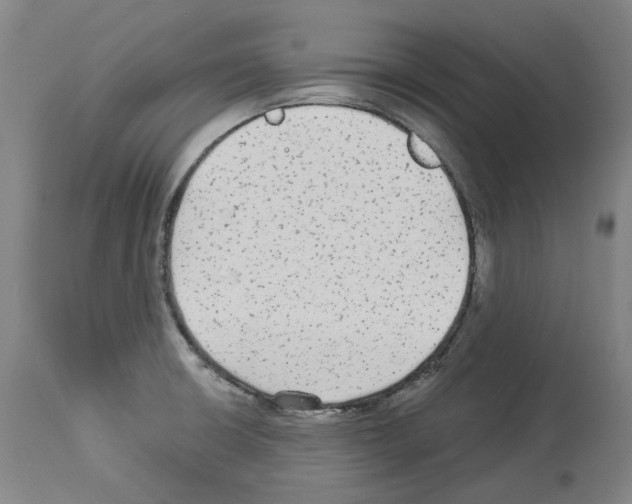 X0000113961426200911061316