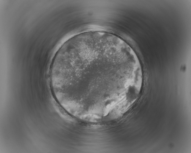 X0000113961427200911061316