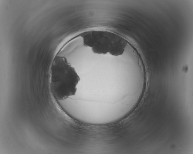X0000113961428200911061316