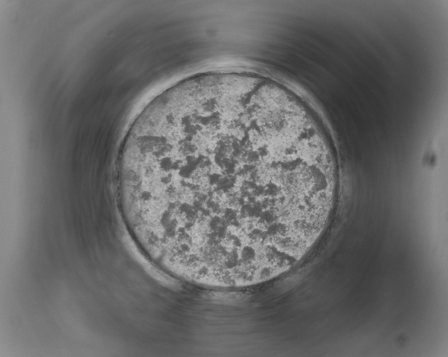 X0000113961429200911061316