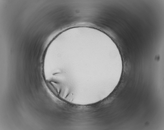 X0000113961430200911061316