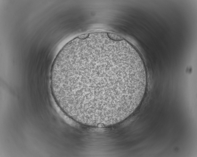 X0000113961431200911061316