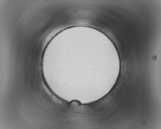 X0000113961432200911061316