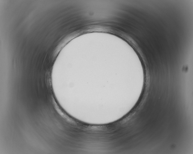 X0000113961433200911061316