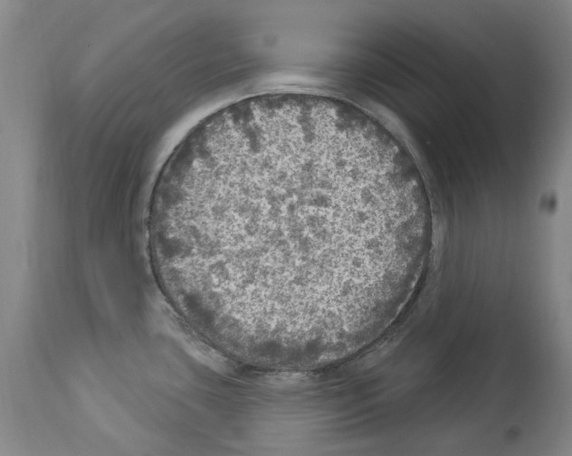 X0000113961435200911061316