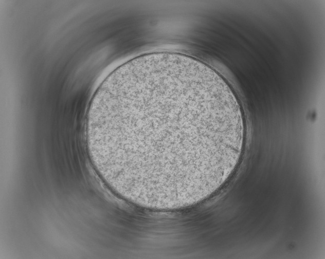 X0000113961436200911061316