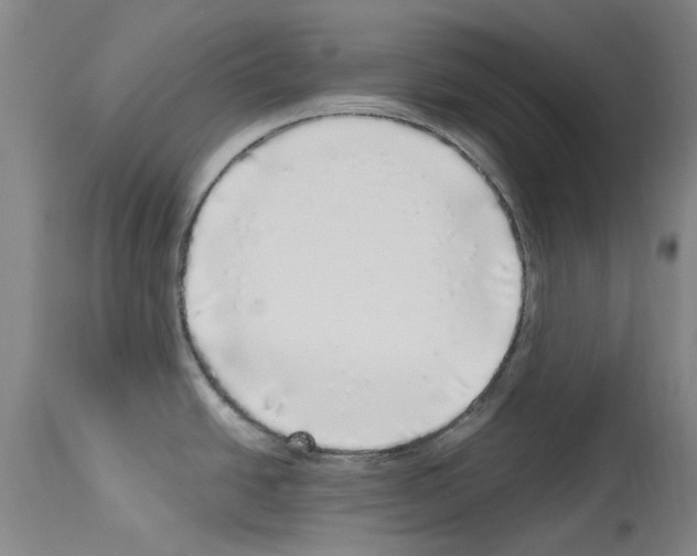 X0000113961438200911061316