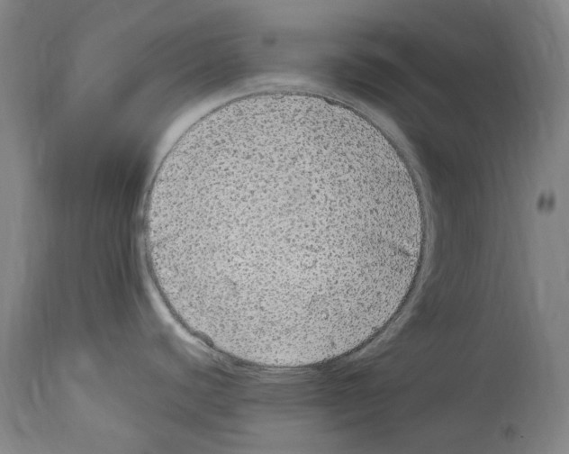 X0000113961440200911061316