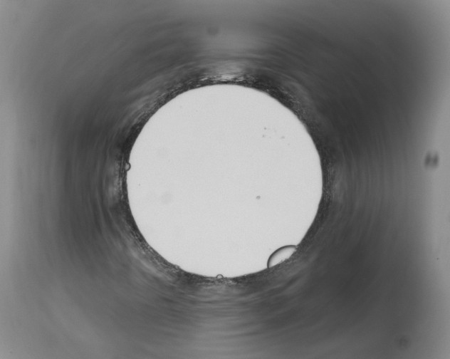 X0000113961442200911061315