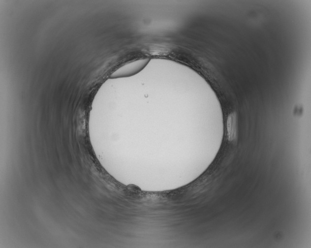 X0000113961443200911061315
