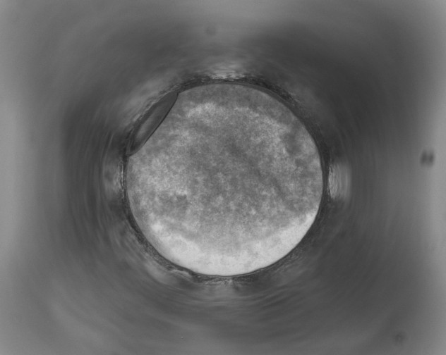 X0000113961444200911061315