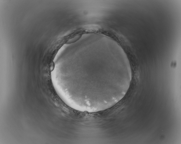 X0000113961445200911061315