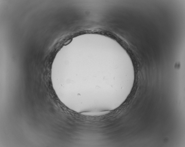 X0000113961447200911061315