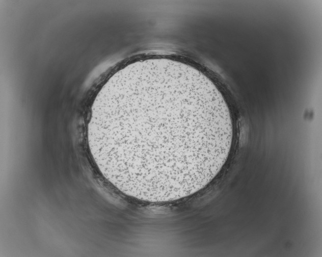 X0000113961448200911061315