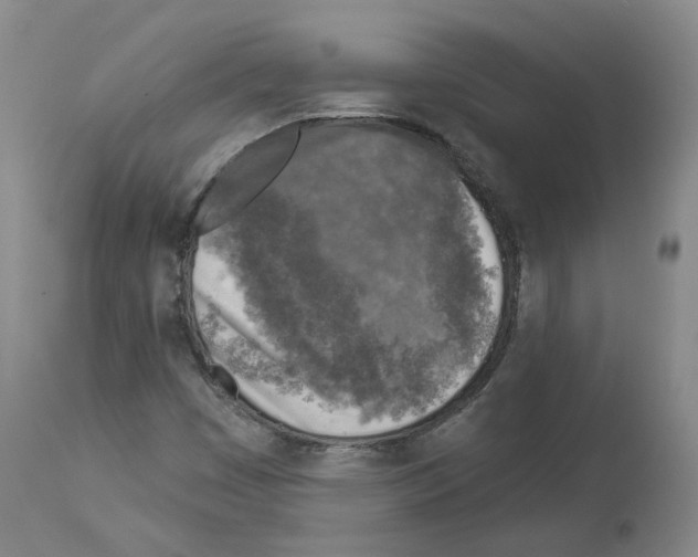 X0000113961449200911061315